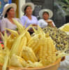 Foto 5 de Ambrosia, Cochabamba