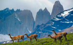 Foto 3 de Torres de Paine, Magallanes y de la Antártica Chilena