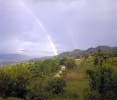 Foto 6 de Villanueva, Cortés