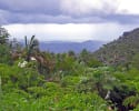 Foto 1 de Jayuya, Ponce