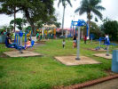 Foto 5 de Flores, Heredia