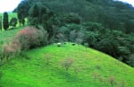 Foto 4 de Zarcero, Alajuela