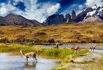 Foto 6 de Torres de Paine, Magallanes y de la Antártica Chilena
