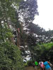 Foto 6 de Alajuelita, San José
