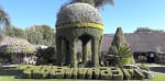 Foto 3 de Atlixco, Puebla