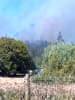 Foto 5 de Hualqui, Biobío