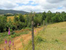 Foto 1 de Paillaco, Los Ríos