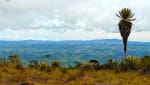 Foto 5 de Belmira, Antioquia