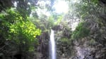 Foto 5 de Manaure, Cesar