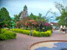 Foto 1 de Ortega, Tolima