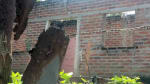 Foto 3 de San Juan Opico, La Libertad