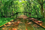 Foto 6 de Jiquilpan, Michoacán de Ocampo