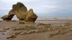 Foto 1 de Jama, Manabí
