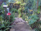 Foto 1 de Tirrases, San José
