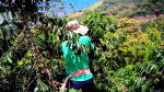 Foto 3 de Ansermanuevo, Valle del Cauca