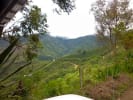 Foto 3 de El Aguila, Valle del Cauca