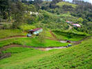 Foto 6 de Corralillo, Cartago