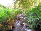 Foto 4 de Girardota, Antioquia