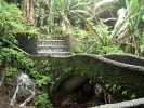 Foto 2 de Uruapan, Michoacán de Ocampo