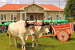Foto 5 de San Isidro, Heredia