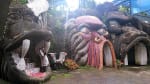 Foto 4 de Puyo, Pastaza