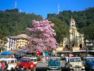 Foto 2 de Fredonia, Antioquia