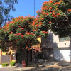 Foto 4 de Naucalpan de Juárez, México