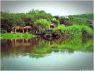 Foto 1 de Jacona, Michoacán de Ocampo