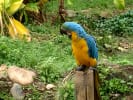 Foto 4 de Fálan, Tolima