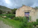 Foto 5 de San Miguel Tulancingo, Oaxaca