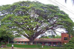 Foto 5 de Santander de Quilichao, Cauca