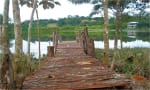 Foto 3 de Río Sereno, Chiriquí