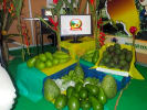 Foto 4 de Fresno, Tolima