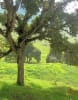Foto 4 de Fómeque, Cundinamarca