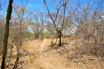 Foto 6 de Natagaima, Tolima