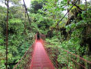 Foto 3 de Monteverde, Puntarenas
