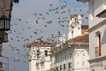 Foto 6 de Popayán, Cauca