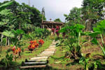 Foto 5 de Buenavista, Quindío