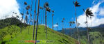 Foto 5 de Circasia, Quindío