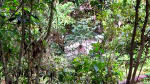 Foto 4 de Sabanilla, San José