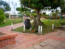 Foto 3 de Tauramena, Casanare