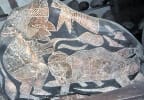 Foto 4 de Nazca, Ica