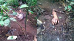 Foto 1 de Carepa, Antioquia