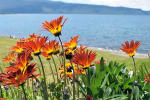 Foto 3 de Osorno, Los Lagos