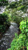 Foto 1 de Fortuna, Alajuela