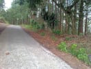 Foto 3 de Naranjo, Alajuela
