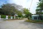Foto 1 de Guayabal, Tolima