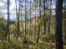 Foto 1 de Villa De San Diego De Ubaté, Cundinamarca