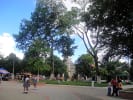 Foto 1 de Saravena, Arauca