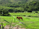 Foto 1 de San Francisco de Asís, Aragua